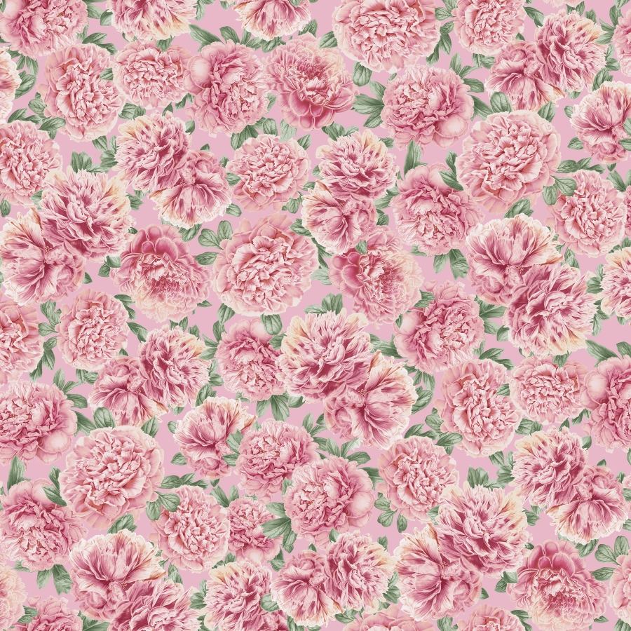 PHIL 6533 PINK